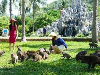 Tour Đảo Khỉ – Đảo Suối Hoa Lan 1 Ngày