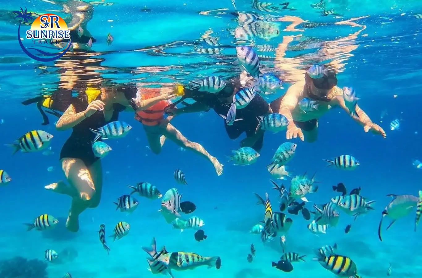 lặn biển hon mun Nha Trang