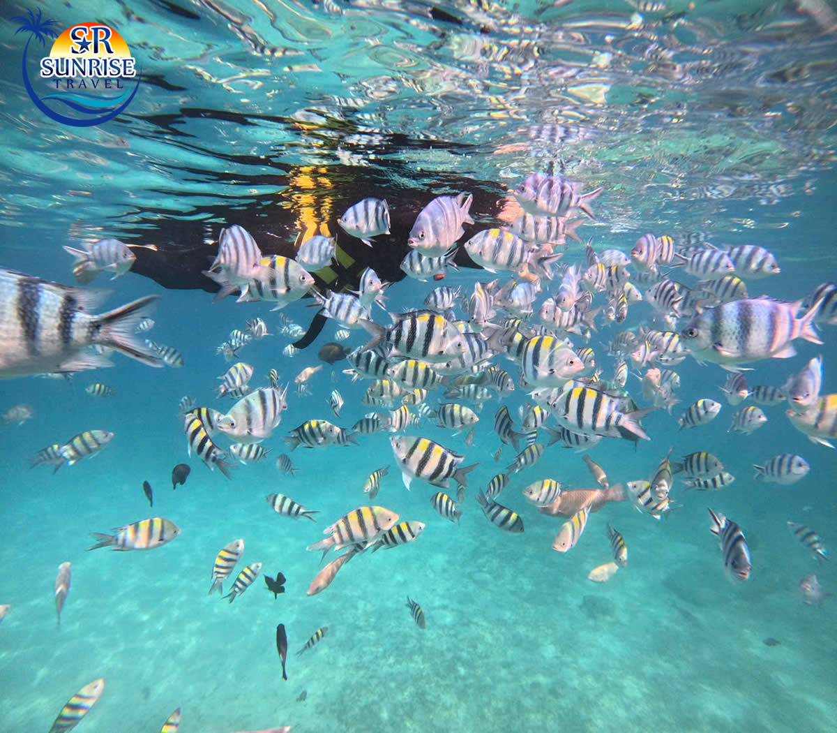 tour hòn mun nha trang