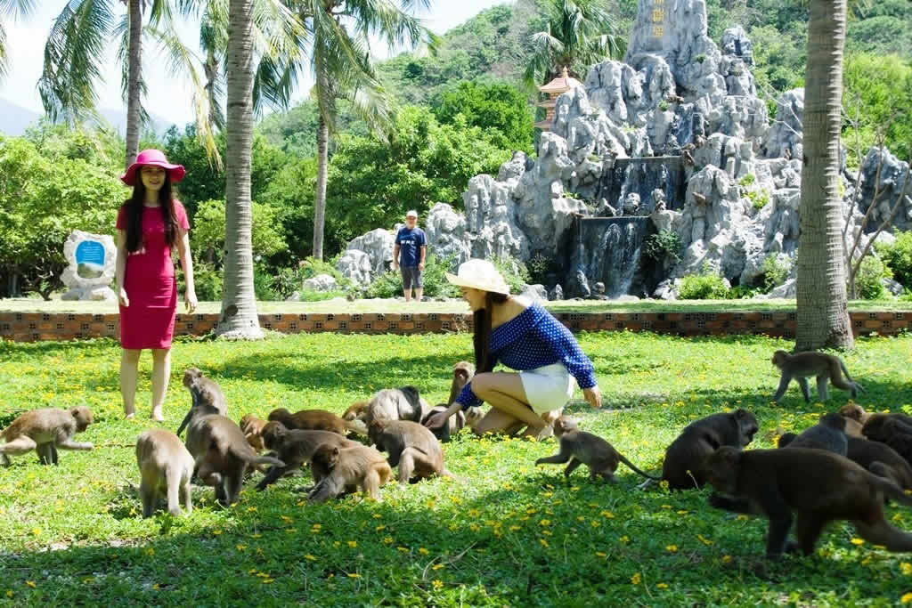 Tour Đảo Khỉ – Đảo Suối Hoa Lan 1 Ngày