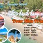 Top  Tour Nha Trang Hot Nhất 2024